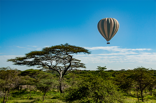 Ballonvlucht over de Serengeti